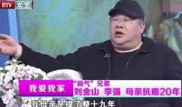 刘金山爆料母亲视频播放,揭秘巨星背后的感人故事